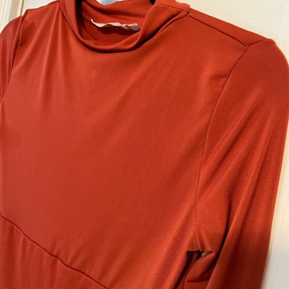 Rust Turtleneck with Slit Maternity Dress by Anyuta Couture - Picture 9 of 9